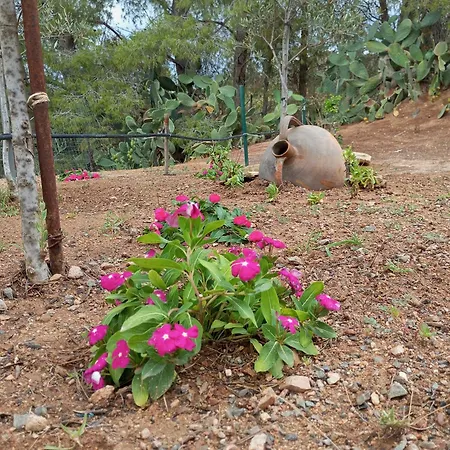 Caboni Melis Hébergement de vacances Maracalagonis